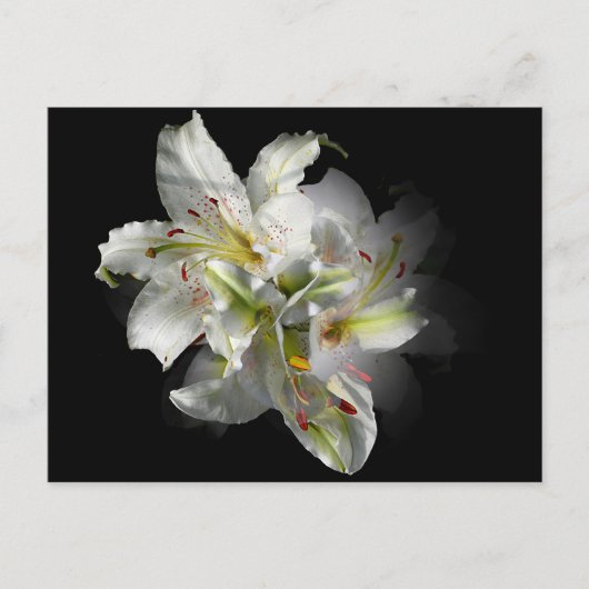 White Lilies Fantasy Briefkaart (Voorkant)