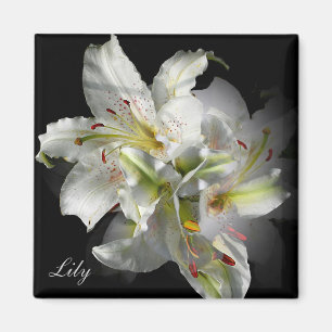 White Lilies Fantasy Magneet