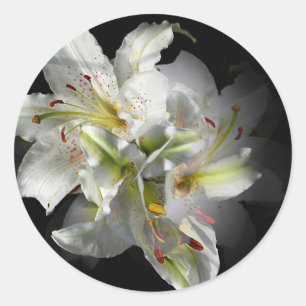 White Lilies Fantasy Ronde Sticker