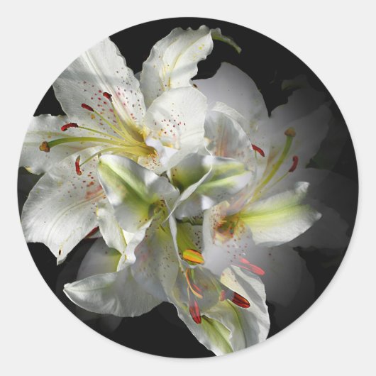 White Lilies Fantasy Ronde Sticker (Voorkant)