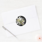 White Lilies Fantasy Ronde Sticker (Envelop)