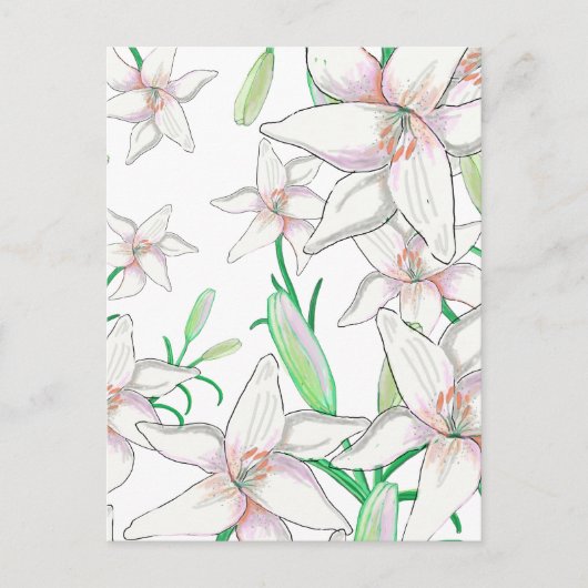 White Lilies Illustration Briefkaart (Voorkant)