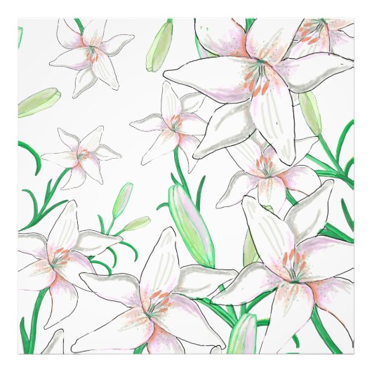 White Lilies Illustration Foto Afdruk (Voorkant)