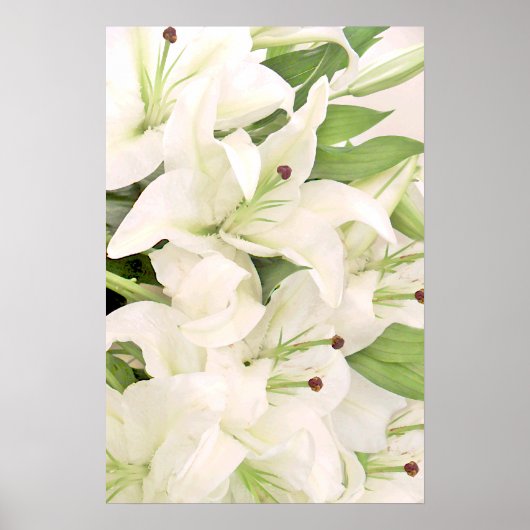 White Lilies_Poster Poster (Voorkant)