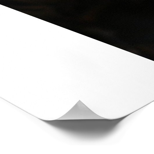 White Lilly Poster (Hoek)