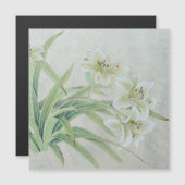 White Lily (Voorkant / Achterkant)