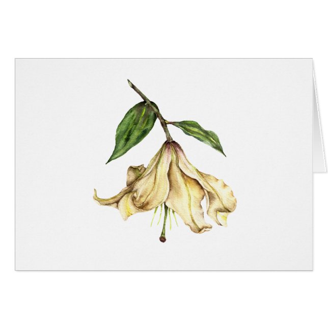 White Lily (Voorkant Horizontaal)