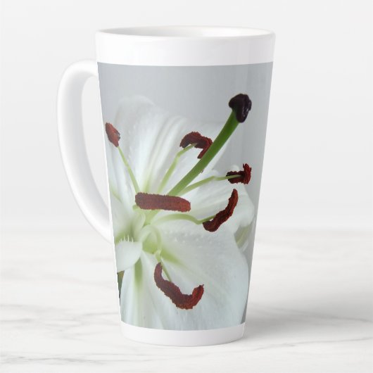 White Lily, bloem. Latte Mok (Linkerhoek)