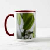 White Lily, bloem. Mok (Links)
