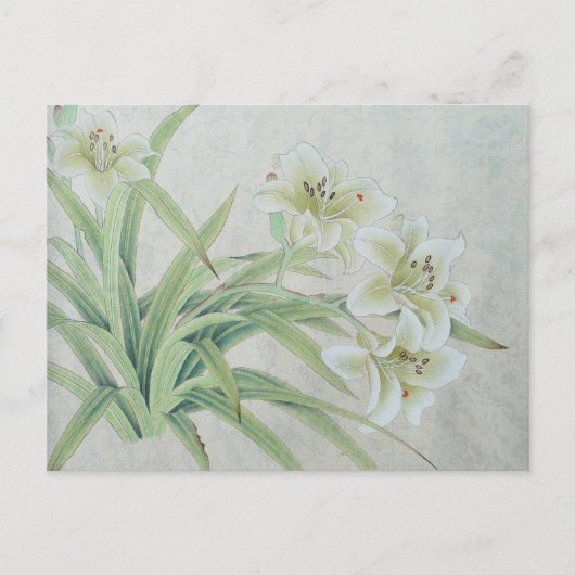 White Lily Briefkaart (Voorkant)