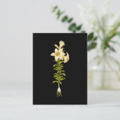 White Lily Briefkaart (Staand voorkant)