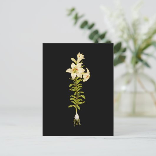 White Lily Briefkaart (Staand voorkant)