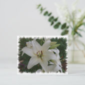 White Lily Briefkaart (Staand voorkant)