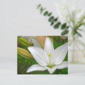 White Lily Briefkaart (Staand voorkant)