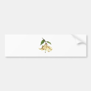 White Lily Bumpersticker