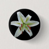 White Lily Button (Voorkant)