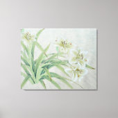 White Lily Canvas Afdruk (Voorkant)