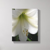 White Lily Canvas Afdruk (Voorkant)