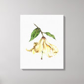 White Lily Canvas Afdruk (Voorkant)