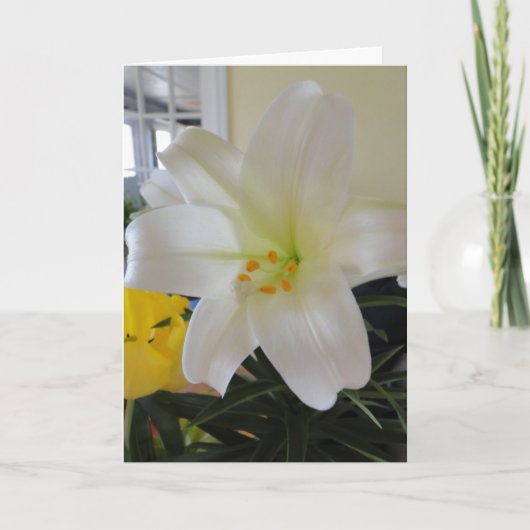 White Lily Easter Feestdagen Kaart (Voorkant)