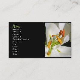 White Lily Floral Visitekaartjes