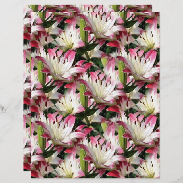 White Lily Flower Natuur Pattern Scrapbook (Voorkant / Achterkant)