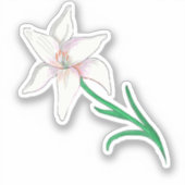 White Lily Flower Sticker (Voorkant)