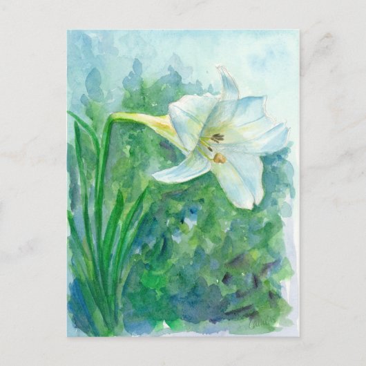White Lily Flower Waterverf Painting Briefkaart (Voorkant)