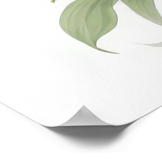 White Lily Flowers Poster (Hoek)