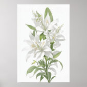 White Lily Flowers Poster (Voorkant)