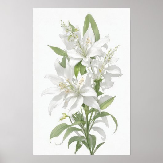 White Lily Flowers Poster (Voorkant)