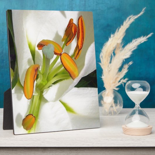 White Lily Fotoplaat (Zijkant)