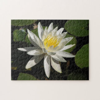 White Lily Legpuzzel