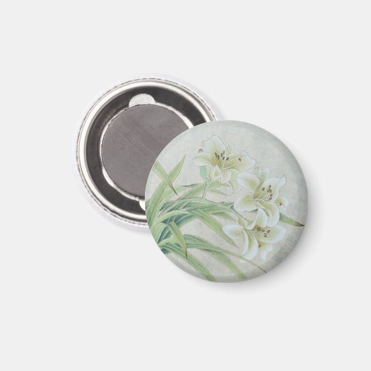 White Lily Magneet (Voorkant / Achterkant)