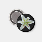 White Lily Magnet (Voorkant / Achterkant)