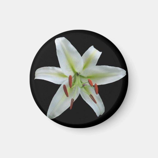 White Lily Magnet (Voorkant)