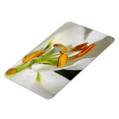 White Lily Magnet Magneet (Linkerzijde)