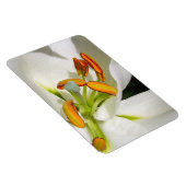 White Lily Magnet Magneet (Rechterzijde)