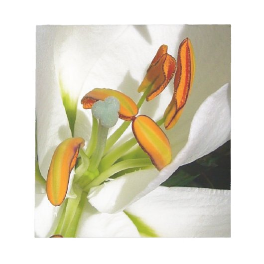 White Lily Notitieblok (Voorkant)