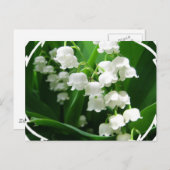 White Lily of the Valley Briefkaart (Voorkant / Achterkant)