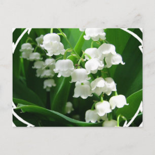 White Lily of the Valley Briefkaart
