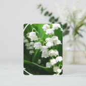 White Lily of the Valley Briefkaart (Staand voorkant)