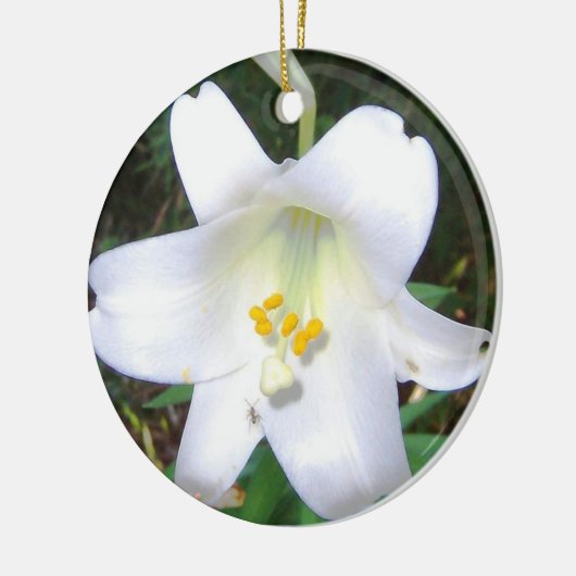 White Lily Ornament (Links)