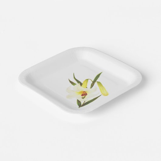  White Lily Papieren Bordje (Gebogen)