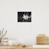 White Lily Poster (Keuken)