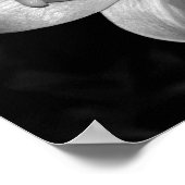 White Lily Poster (Hoek)