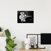 White Lily Poster (Thuiskantoor)