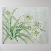 White Lily Poster (Voorkant)