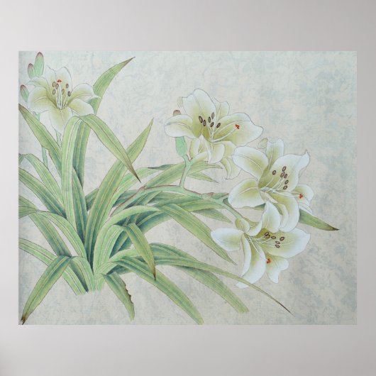 White Lily Poster (Voorkant)