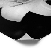 White Lily Poster (Hoek)